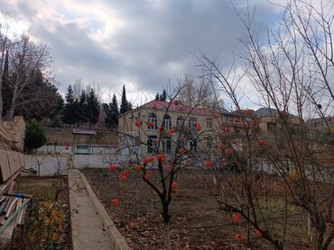Bağ evlərinin satışı: Bakı, Novxanı, 200 kv. m, 5 otaqlı, İnternet, Artezian quyusu, Telefon — 10