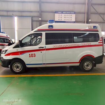 задняя фара мерс 210: Ford Transit: 2024 г., 1.9 л, Механика, Бензин, Бус