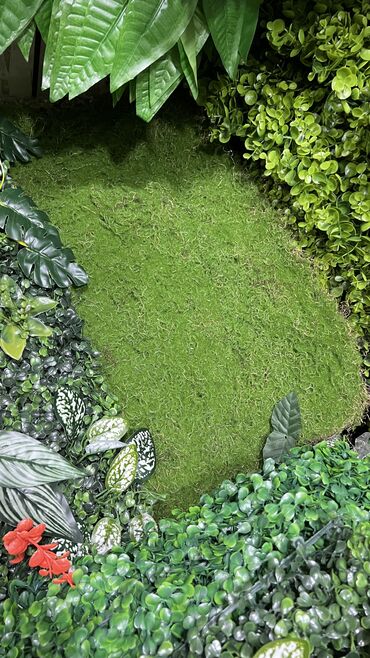 Toxumlar: 10 azn başlayan qiymətlər Suni qazon depodan bi̇r başa satişdir — 8