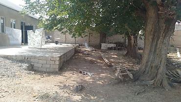 ismayıllıda kiraye evler: Mülkiyyətçi, Kupça (Çıxarış) — 4
