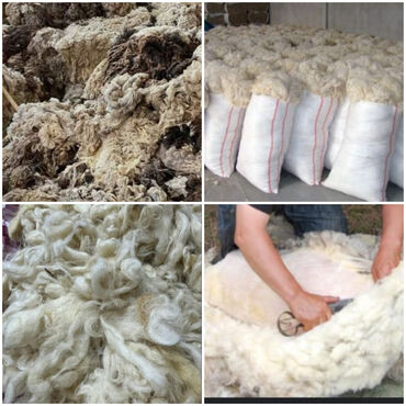 turkiye_tekstil instagram: Təbii qoyun yunu topdan və pərakəndə satılır. Bu yun, müxtəlif