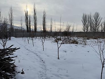 Продажа домов: Дом, 150 м², 5 комнат, Собственник, Евроремонт — 7