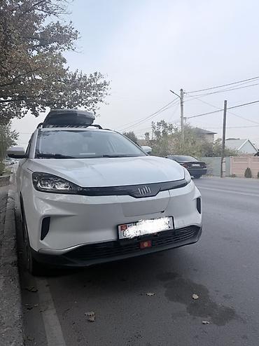 model x: JMEV : 2021 г., Автомат, Электромобиль, Кроссовер — 1