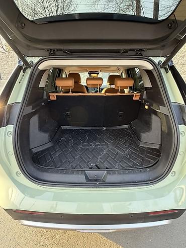 Weltmeister: Weltmeister W6, 2022 г. — 9