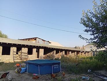 act building: ТАЙГАРАЕВ, жаны трассанын бойунда жер уй сатылат ! 2 чек, чон жер — 5