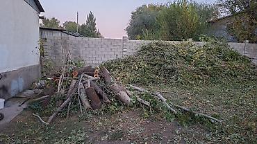 дрова харьк: Дрова Самовывоз — 4