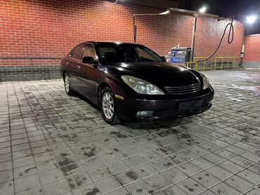 тойота товн айс: Lexus ES: 2004 г., 3.3 л, Автомат, Бензин, Седан