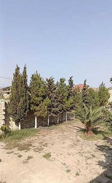 Torpaq sahələrinin satışı: 6 sot, Biznes üçün, Maklerlər narahat etməsin, Kupça (Çıxarış) — 7