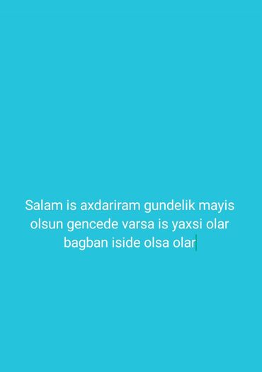 iş axdarma: Salam is axdariram bağban iside olar ise gore narahat esin whatsappa