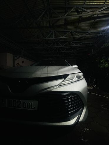 стрижка кошек на дому: Автокосметика, Кузов үчүн, Жаңы, Оригинал