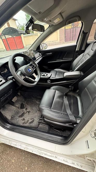 BYD: BYD E2: 2022 г., Автомат, Электромобиль — 11