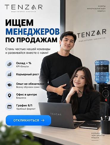 secom ort kg: Требуется Менеджер по продажам, График: Шестидневка, Полный рабочий день, Карьерный рост — 1