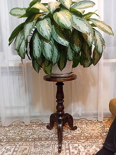 Деревянные лестницы: Деревянная лестница Для дома, Вид дерева: Дуб, Форма лестницы: Г-образная, Стиль: Классический — 18