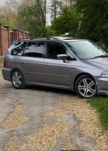 Honda: Honda Odyssey: 2003 г., 2.3 л, Автомат, Бензин, Минивэн