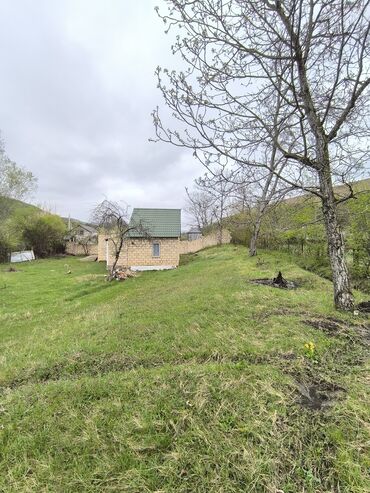 Torpaq sahələrinin satışı: 11 sot, Tikinti, Mülkiyyətçi, Kupça (Çıxarış) -da lalafo.az — 9 Torpaq sahələrinin satışı: 11 sot, Tikinti, Mülkiyyətçi, Kupça (Çıxarış) — 9