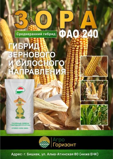 шелковые ковры в бишкеке: Уруктар: Жүгөрү