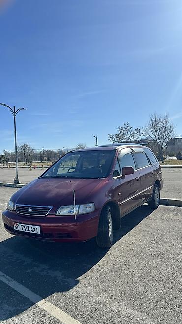 Honda: Honda Odyssey: 1997 г., Автомат, Бензин, Минивэн — 2