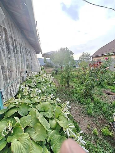 Продажа дачи: Агентствам просьба не беспокоить ☎️ 0•703•88•88•00 Продается дача в — 9