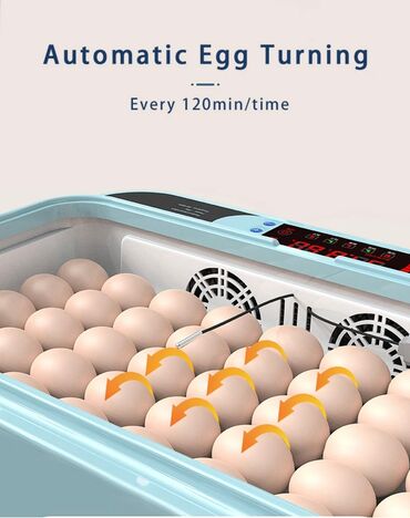 Oprema za kućne ljubimce: INKUBATOR Automatski nove generacije za 36 jaja 12v/220v — 13