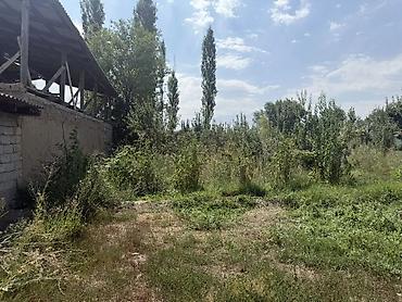 алтын казык ж м: Площадь участка (соток):12 Правоустанавливающие документы:Красная — 1