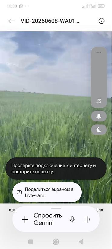 слив малоле: Арпа сатылат 20 тонна,сорт "МАРГАРЕТ" урукка. - Назначение: посевной — 2