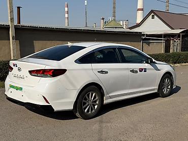 соната пленка: Hyundai Sonata: 2019 г., 2 л, Автомат, Газ, Седан — 8