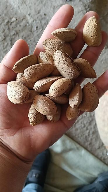 qara torpaq ve peyin: Məhsul: Qabıqlı badam Təsvir: - Təbii qabığında, tam dənələr - Bütöv — 2