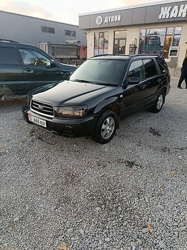 форд джип: Subaru Forester: 2003 г., Автомат, Бензин, Кроссовер — 1