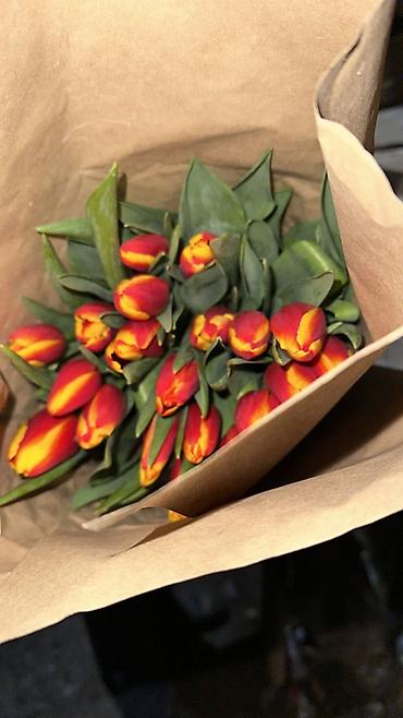 Букеты из живых цветов: Тюльпаны в крафтовой упаковке — срезанные бутоны на крепких стеблях — 3
