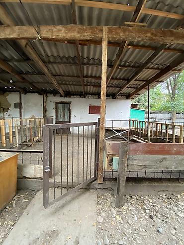 Продажа домов: Дом, 55 м², 3 комнаты — 8