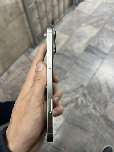 aifon 15 pro max: IPhone 16 Pro Max, титановый корпус (Natural Titanium), экран 6.7" — 2