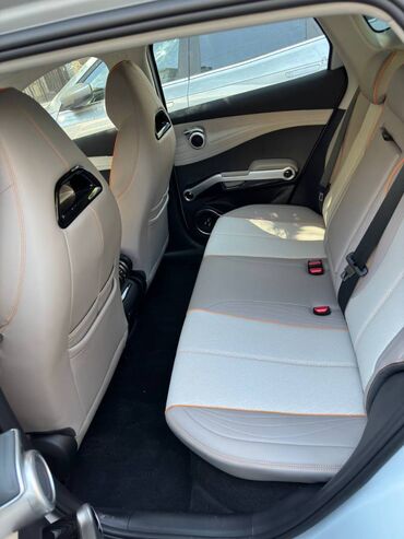 BYD: BYD : 2024 г., Электромобиль — 7