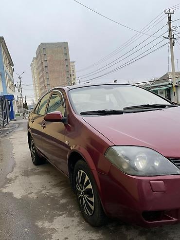 Nissan: Nissan Primera: 2002 г., 1.8 л, Механика, Бензин, Седан — 2