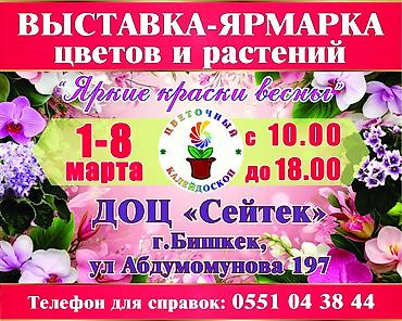 Фиалки и глоксинии: Выстака-ярмарка цветов, приходите за подарками для милых дам!!! — 10