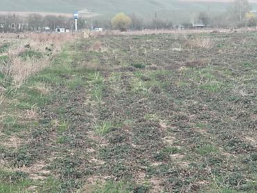 Продажа участков: 80 соток, Для сельского хозяйства — 20