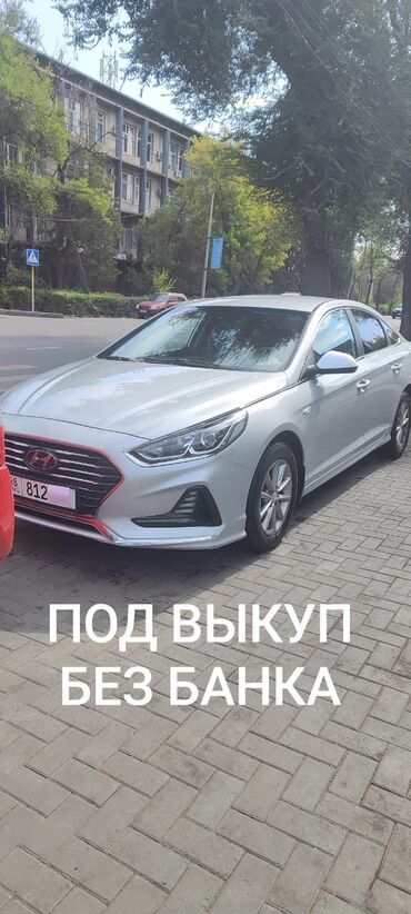 вукуп машына: Hyundai Sonata: 2018 г., 2 л, Автомат, Газ, Седан