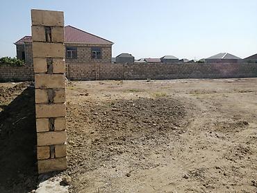 biznes ucun sahə: 7 sot, Kənd təsərrüfatı, Barter mümkündür, Kupça (Çıxarış) — 3