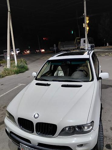 вдоль реки: BMW X5: 2005 г., 4.8 л, Автомат, Бензин, Кроссовер — 4
