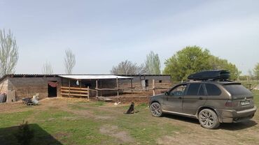 продаю участок село шалта: Дом, 100 м², 4 комнаты, Собственник, Косметический ремонт