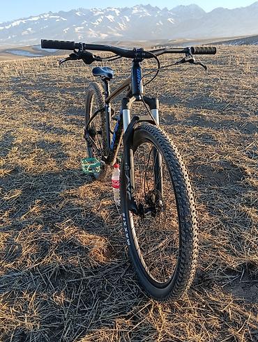 Горные велосипеды: Горный велосипед, Giant, Рама M (156 - 178 см), Алюминий, Б/у — 1