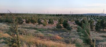 Torpaq sahələrinin satışı: 22 sot, Kənd təsərrüfatı, Mülkiyyətçi, Texniki pasport — 2