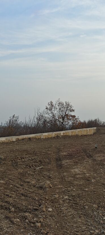 Torpaq sahələrinin satışı: 11 sot, Tikinti, Mülkiyyətçi, Kupça (Çıxarış) — 4