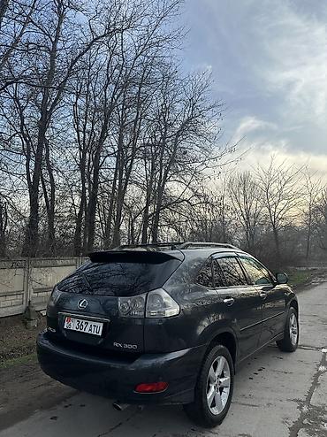 Lexus: Lexus RX: 2003 г., 3 л, Автомат, Газ, Кроссовер — 5
