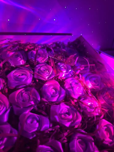 штамбовые розы купить в бишкеке: Организация мероприятий