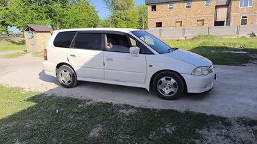 озгон машина: Белый минивэн Honda Odyssey. Подходит для семейных поездок и перевозки