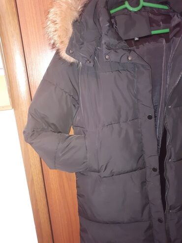 Пуховики и зимние куртки: Пуховик, По колено, С капюшоном, XL (EU 42)