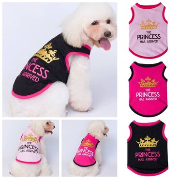 Товары и оборудование для с/х животных: ПРОДАЮ РАЗЛИЧНЫЕ КОГТЕТОЧКИ(от 500сом),А ТАК ЖЕ СУМКИ at lalafo.kg — 19 Товары и оборудование для с/х животных: ПРОДАЮ РАЗЛИЧНЫЕ КОГТЕТОЧКИ(от 500сом),А ТАК ЖЕ СУМКИ — 19