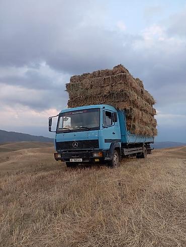 саната уф: Mercedes-Benz : 1997 г., 6 л, Механика, Дизель, Универсал — 1