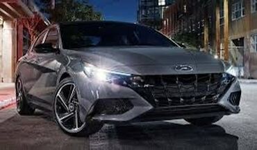 Сутки, Kia