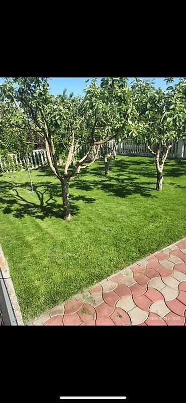 финский дом: Срочно куплю КУПЛЮ КУПЛЮ участок или дом с участок до 12 тысячи — 1